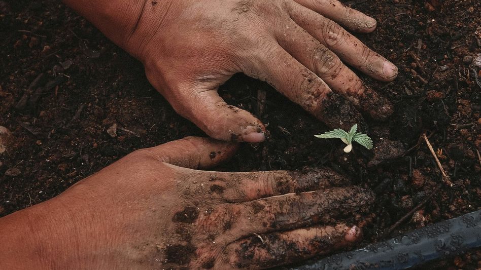 Photo by GreenForce Staffing on Unsplash Photo by GreenForce Staffing on Unsplash