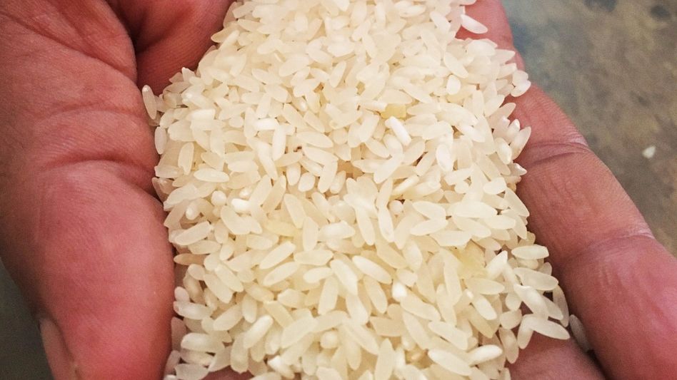 Kalanamak Rice (Photo: Wikipedia) Kalanamak Rice (Photo: Wikipedia)