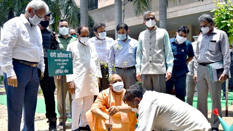 Tree Plantation in Uttar Pradesh: Image: https://upforest.gov.in/  Tree Plantation in Uttar Pradesh: Image: https://upforest.gov.in/