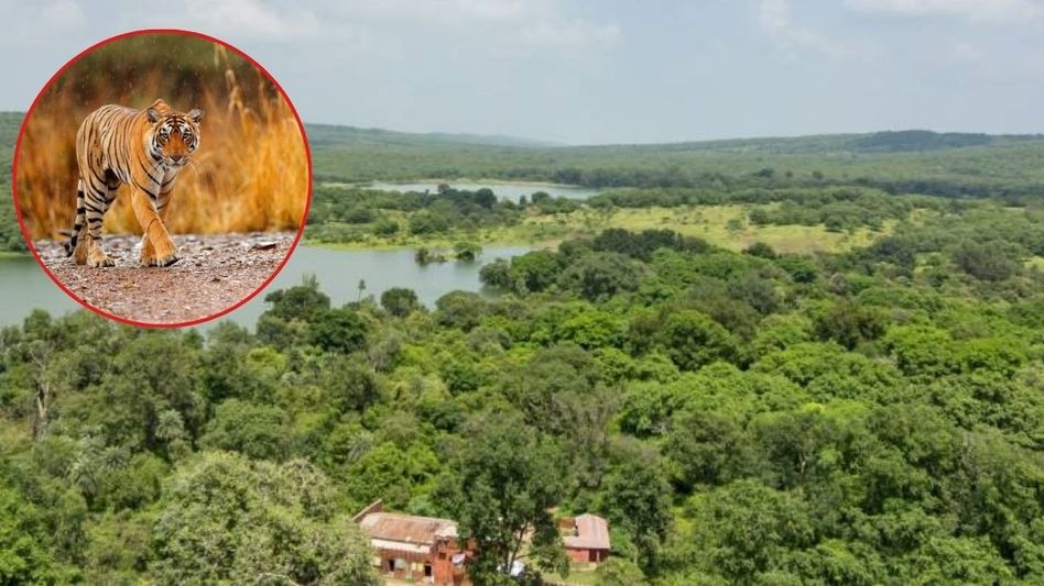 Ranthambore National Park Ranthambore National Park