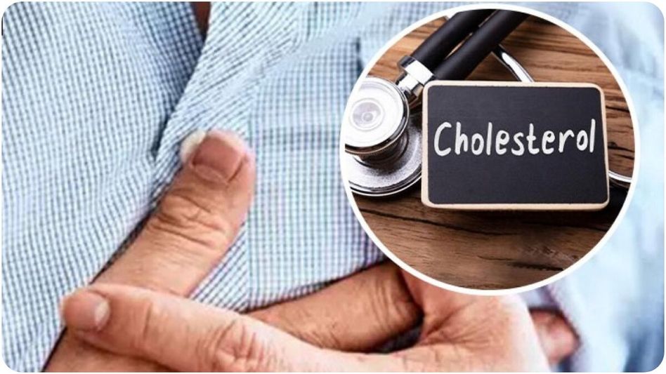 High Cholesterol (Representational Image) High Cholesterol (Representational Image)