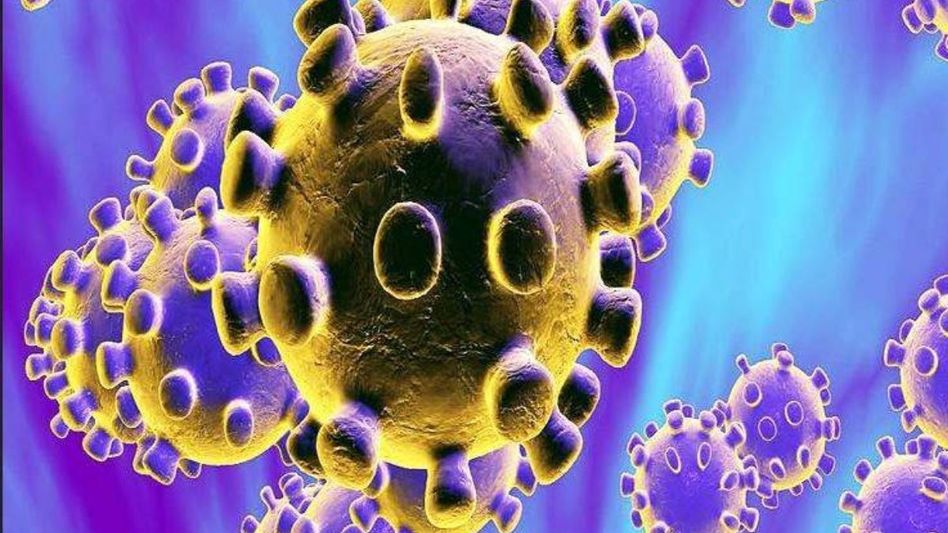 Virus (Symbolic Photo) Virus (Symbolic Photo)