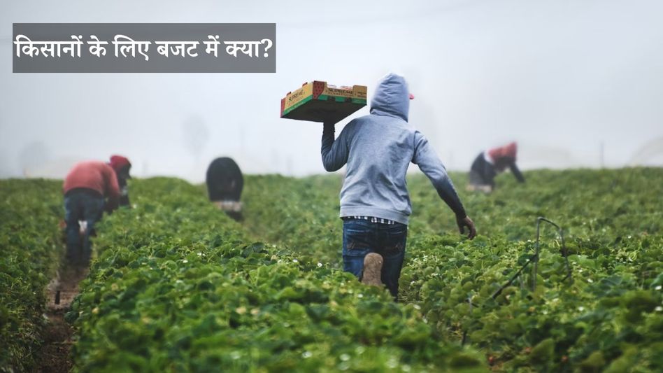 Budget 2024 Budget 2024