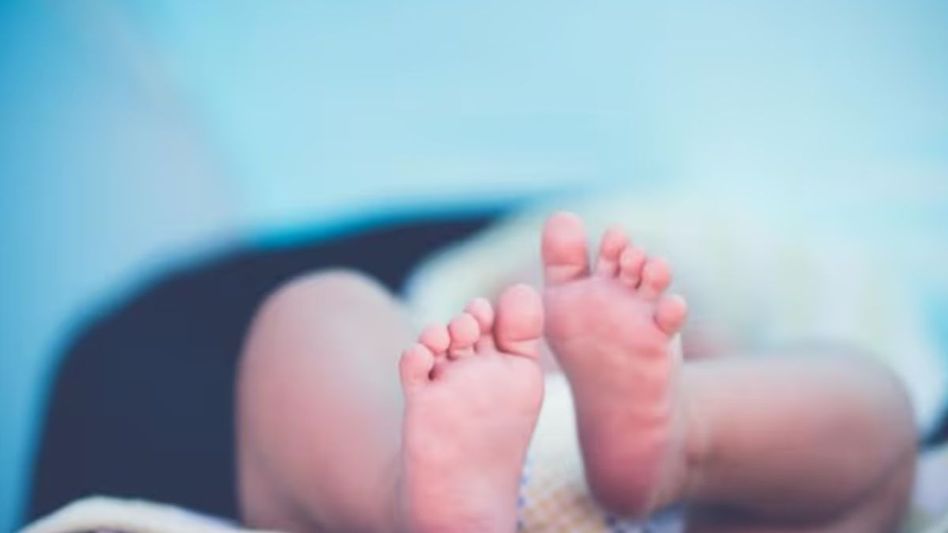 Newborn Newborn