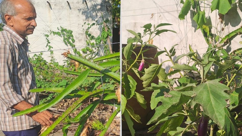 Farmer Amarnath Farmer Amarnath