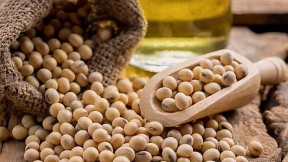 Soyabean Soyabean