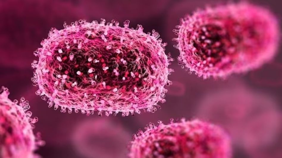 viral encephalitis viral encephalitis