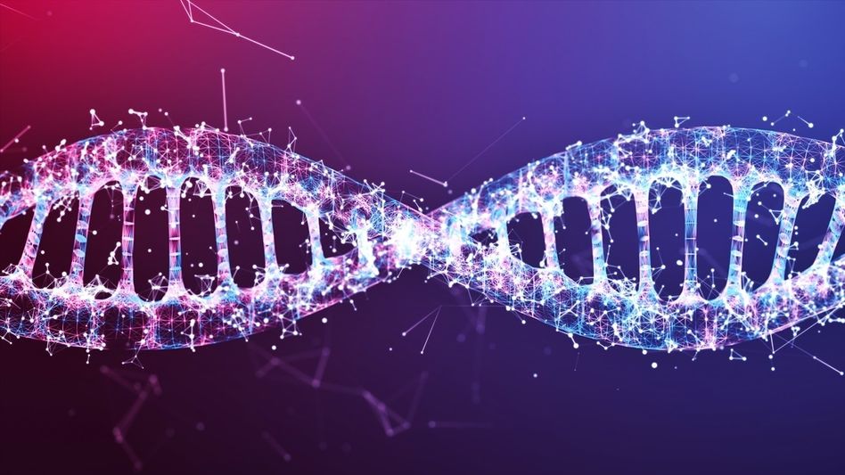 Genes Y Chromosome Genes Y Chromosome