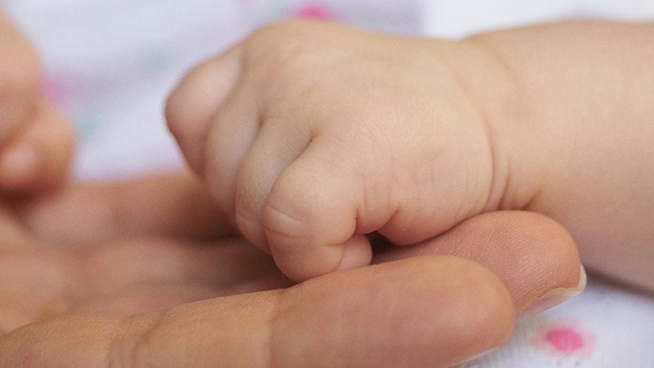 Representational Image (Unsplash/Engin Akyurt) Representational Image (Unsplash/Engin Akyurt)