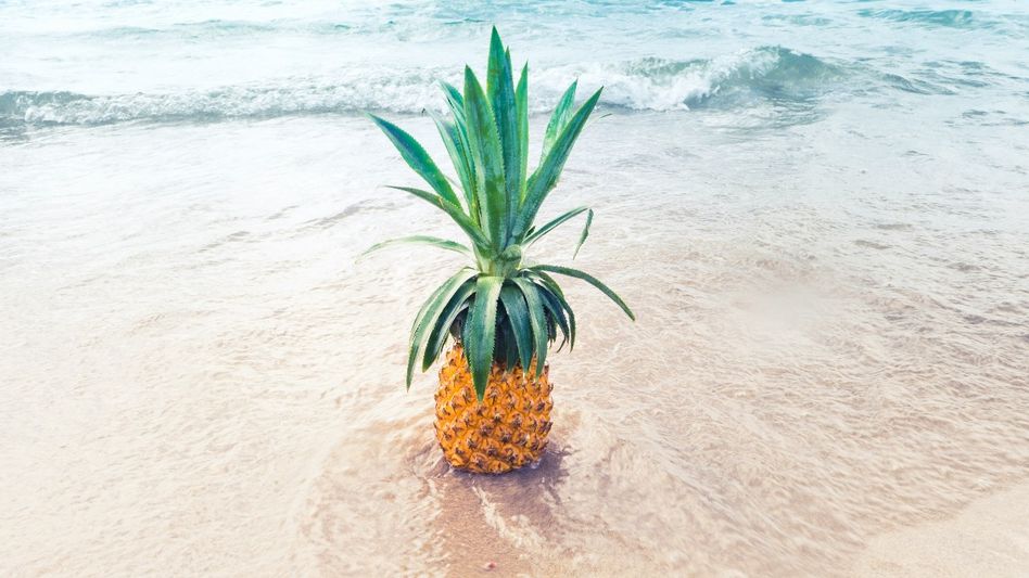 Pineapple Dating (Representative Image/Unsplash) Pineapple Dating (Representative Image/Unsplash)