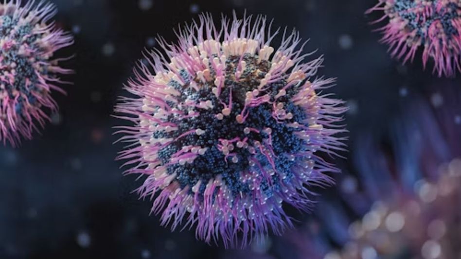 What are superbugs (Repesentational Photo) What are superbugs (Repesentational Photo)