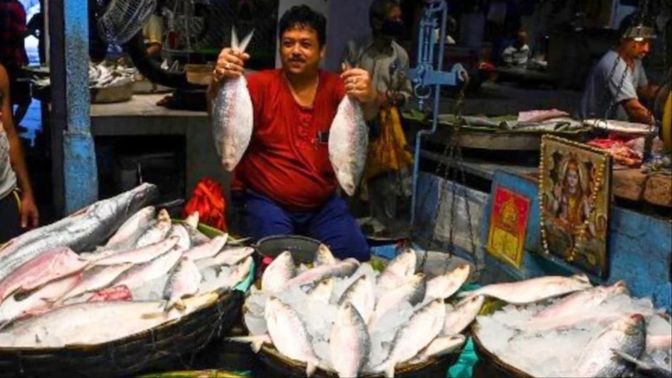 Bangladesh has lifted the ban on the export of Hilsa fish (Photo- AFP) Bangladesh has lifted the ban on the export of Hilsa fish (Photo- AFP)