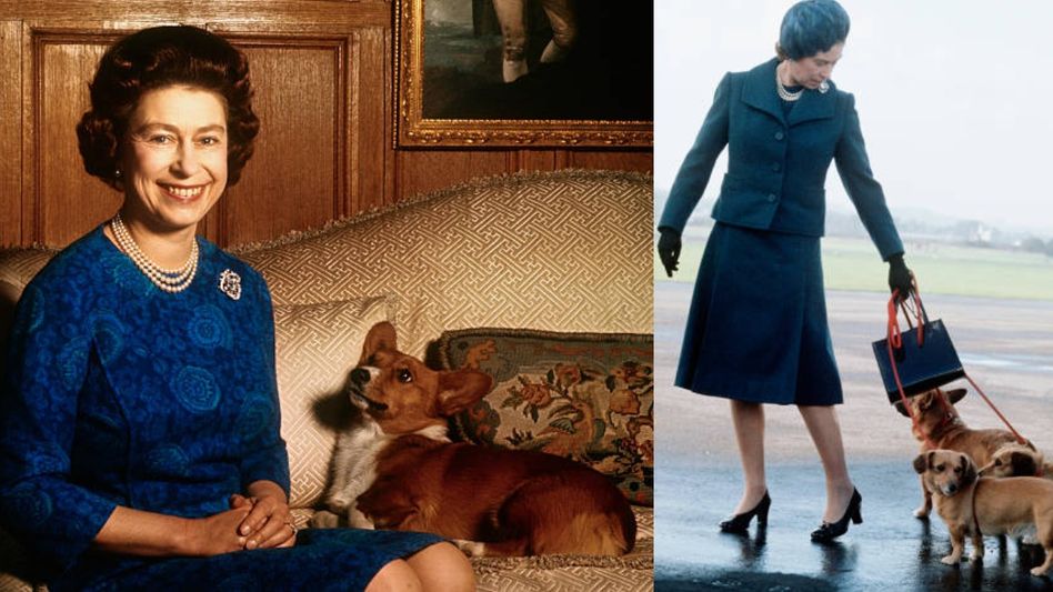 Queen Elizabeth and her dogs (Photo/Getty Images) Queen Elizabeth and her dogs (Photo/Getty Images)