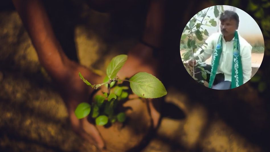 KN Rajshekhar planting a tree daily KN Rajshekhar planting a tree daily