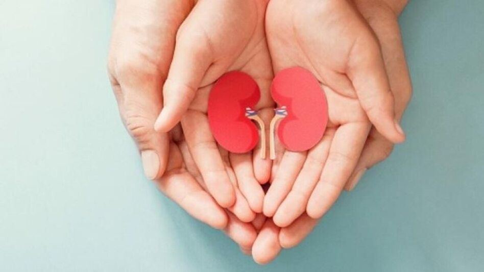 Organ Donation (Representative Image) Organ Donation (Representative Image)