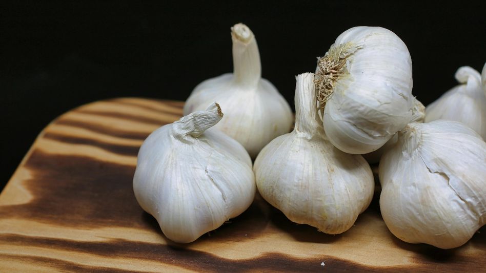 Garlic causes sulfur allergy in people having acute intermittent porphyria Garlic causes sulfur allergy in people having acute intermittent porphyria