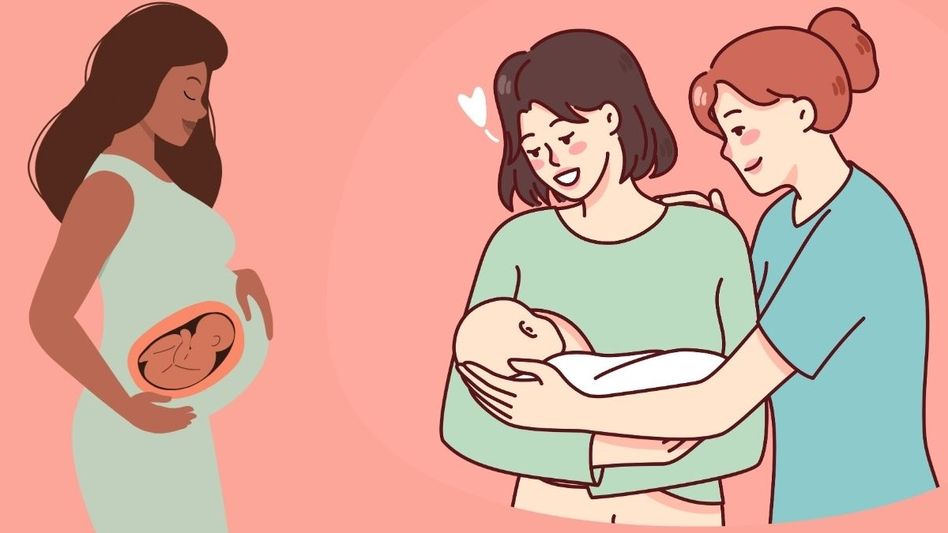 Genetic embryo screening (Representative Image/Canva) Genetic embryo screening (Representative Image/Canva)