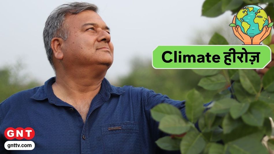 Peepal Baba Peepal Baba