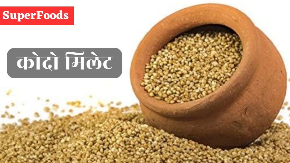 Superfood Kodo Millet Superfood Kodo Millet