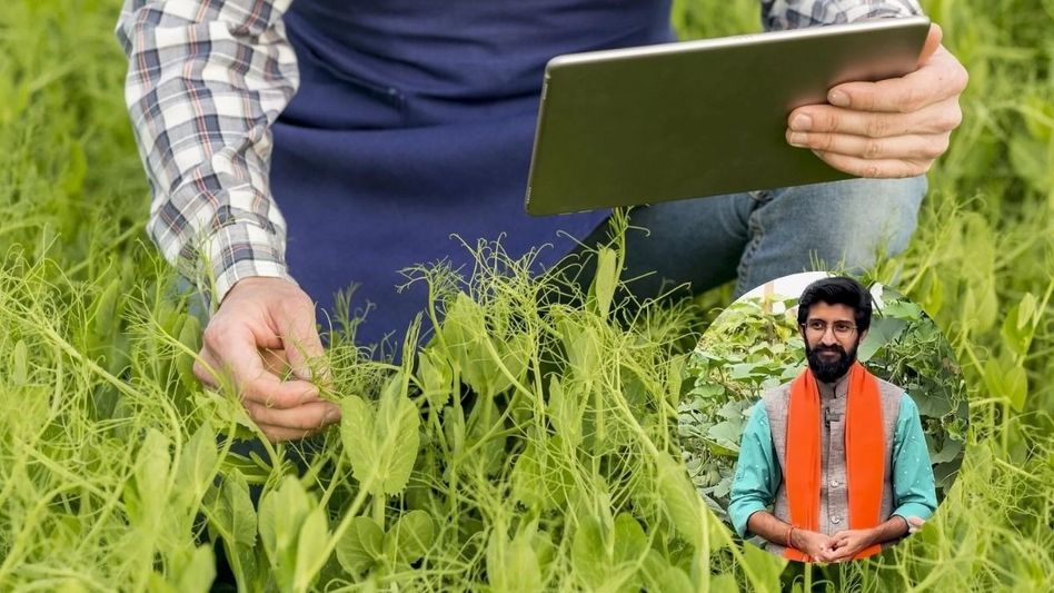 Zetta farms Zetta farms