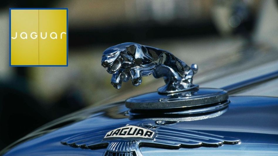 Jaguar Jaguar