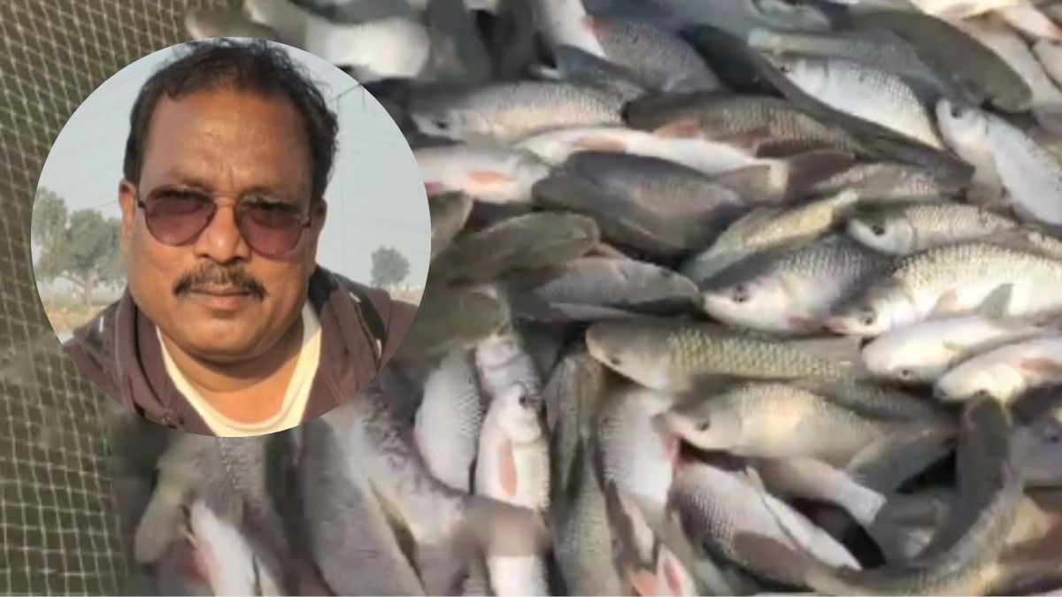 Jai Bhagwan, Fish Farmer Jai Bhagwan, Fish Farmer