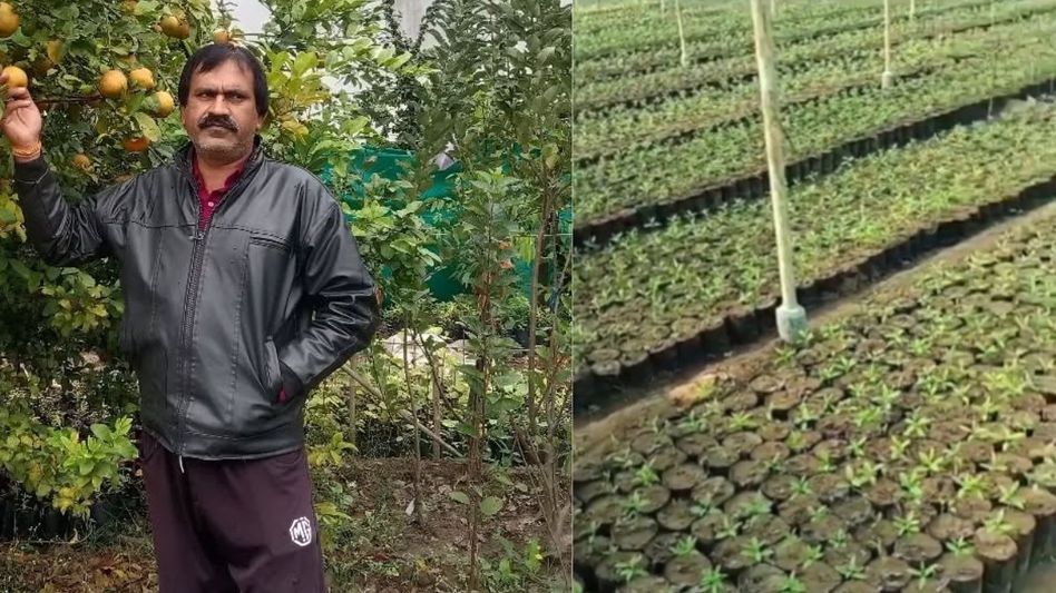 Krishna Kumar Singh Baghel Krishna Kumar Singh Baghel