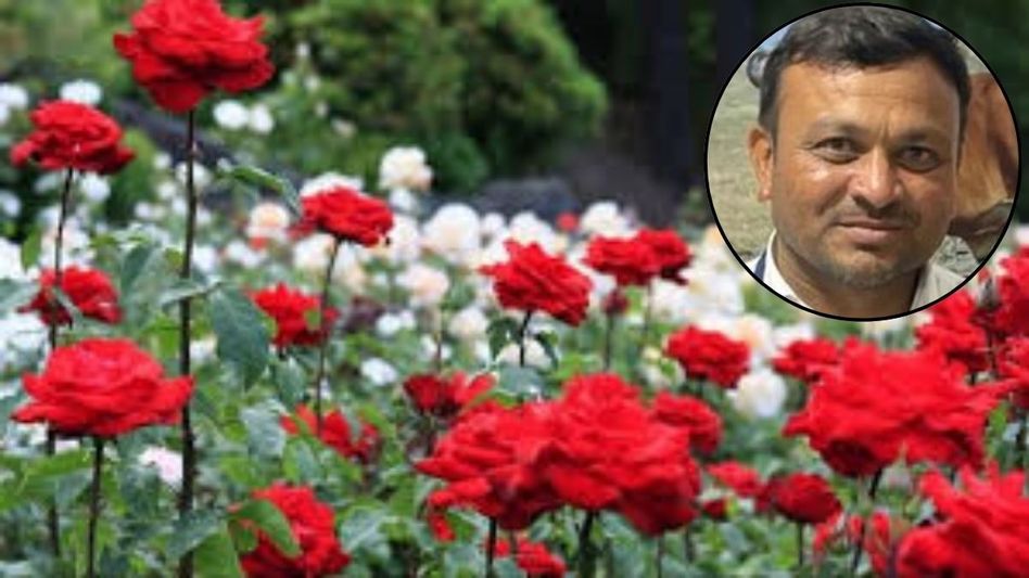 Success Story of Farmer Mahesh Pipariya Success Story of Farmer Mahesh Pipariya