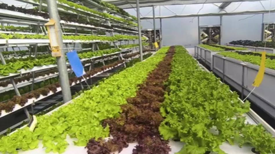 Farming can be done without soil Farming can be done without soil