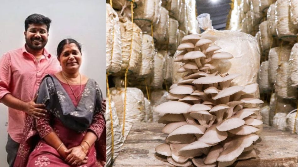 Mushroom Farming (Photo: Jithu Thomas/Instagram) Mushroom Farming (Photo: Jithu Thomas/Instagram)