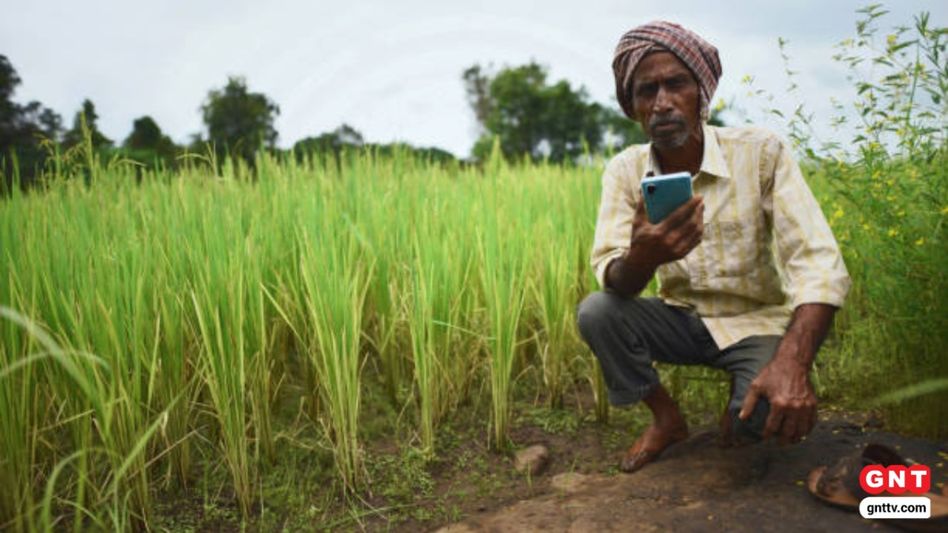 Crop Survey Location Problem Bihar (Photo Credit: Getty) Crop Survey Location Problem Bihar (Photo Credit: Getty)
