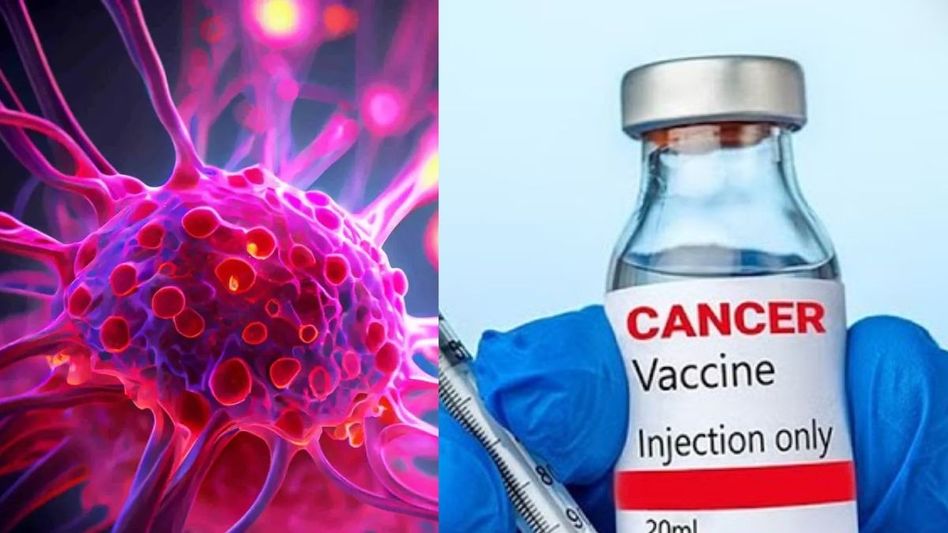 Cancer Vaccine (Symbolic Photo) Cancer Vaccine (Symbolic Photo)