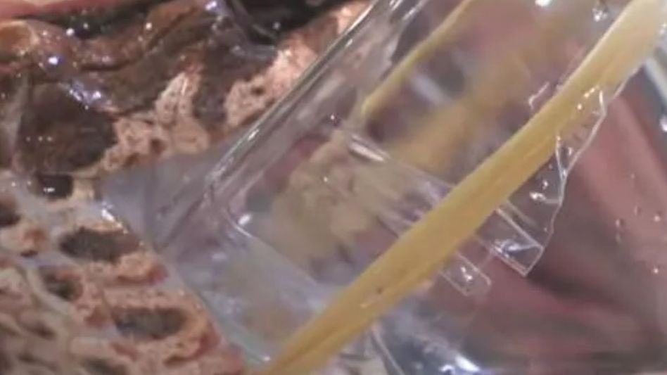 Death adders Death adders