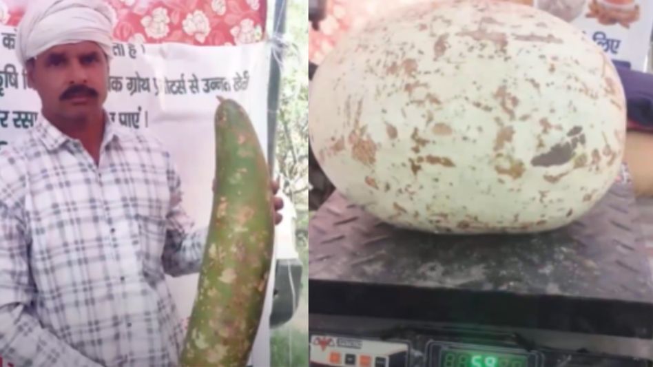 हिसार का किसान मेला हिसार का किसान मेला