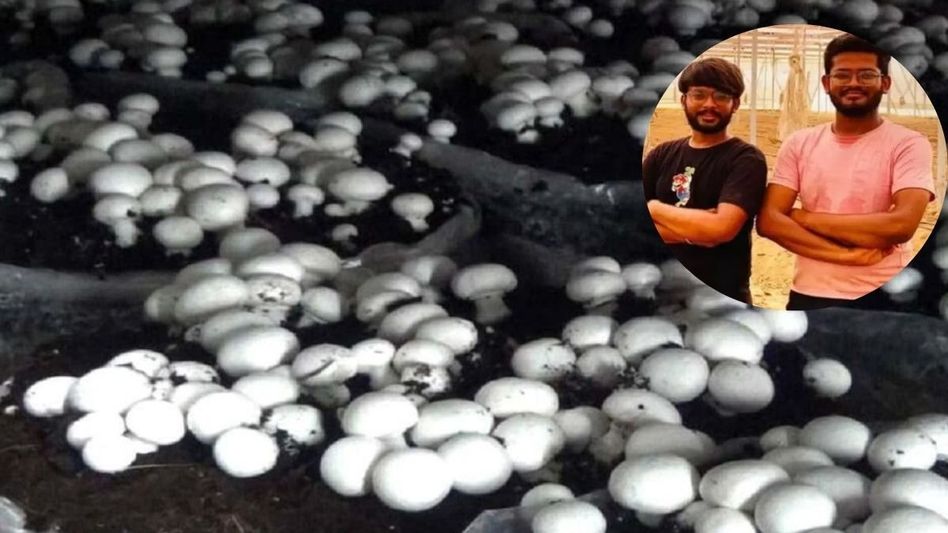 Success Story of Rishabh and Ayush Gupta Success Story of Rishabh and Ayush Gupta