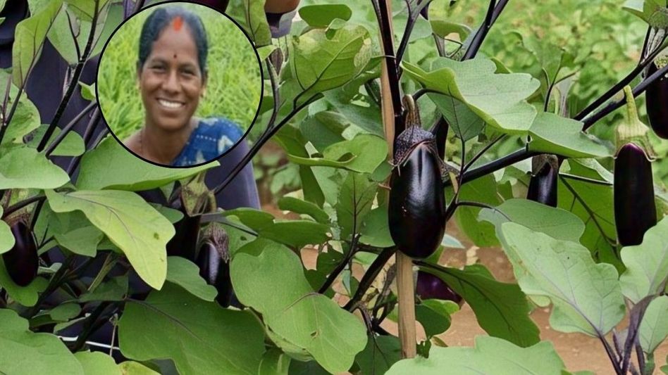 Farmer Success Story Farmer Success Story