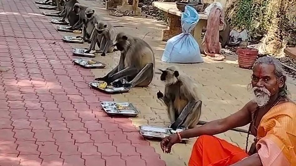 Hanuman Jayanti Hanuman Jayanti