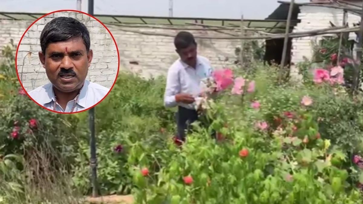 Vaijayanti Farming
