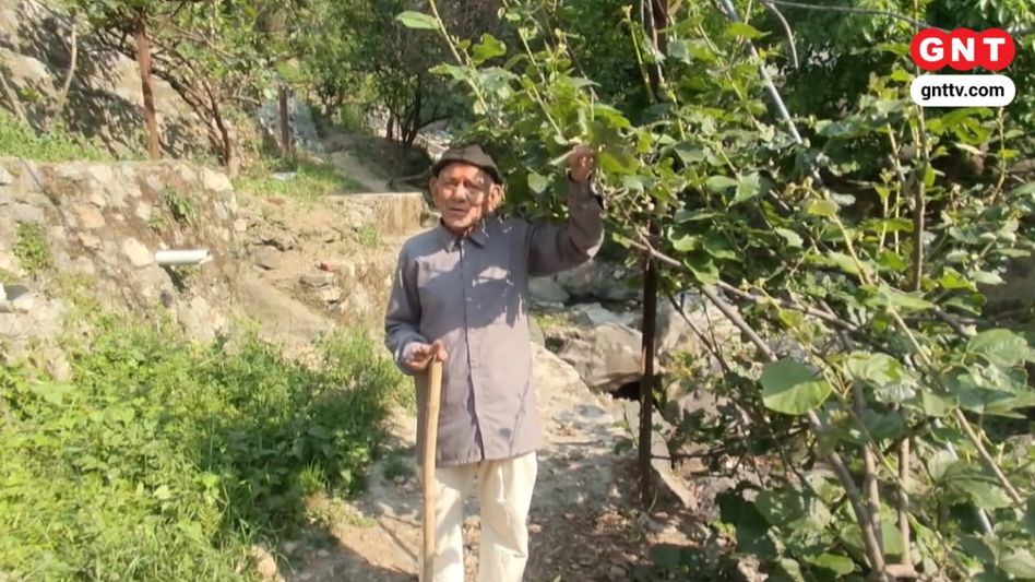 सगत सिंह की नर्सरी से पौधे नेपाल तक एक्सपोर्ट होते हैं. सगत सिंह की नर्सरी से पौधे नेपाल तक एक्सपोर्ट होते हैं.