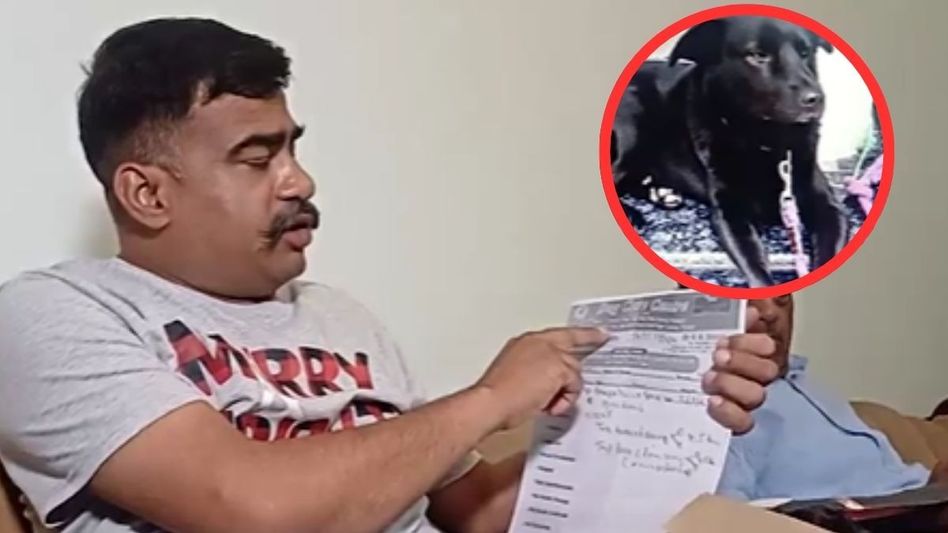 जॉनी के लिए इंसाफ जॉनी के लिए इंसाफ