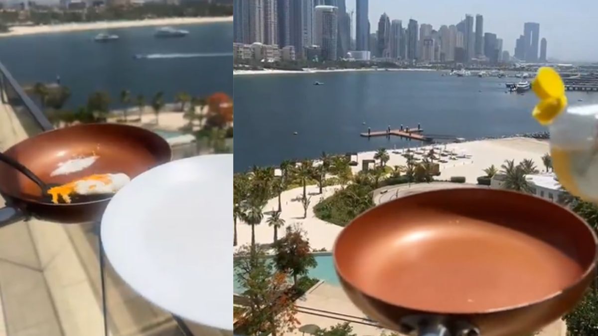 Woman Cooks Omelette