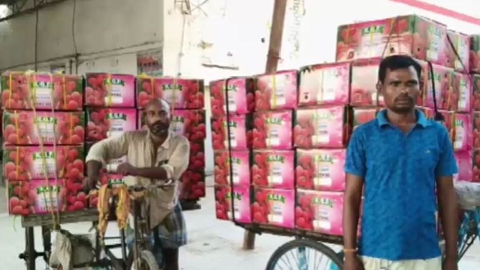 Shahi Litchi Shahi Litchi