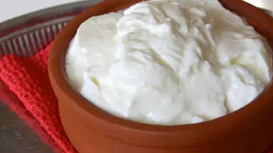 Curd Curd