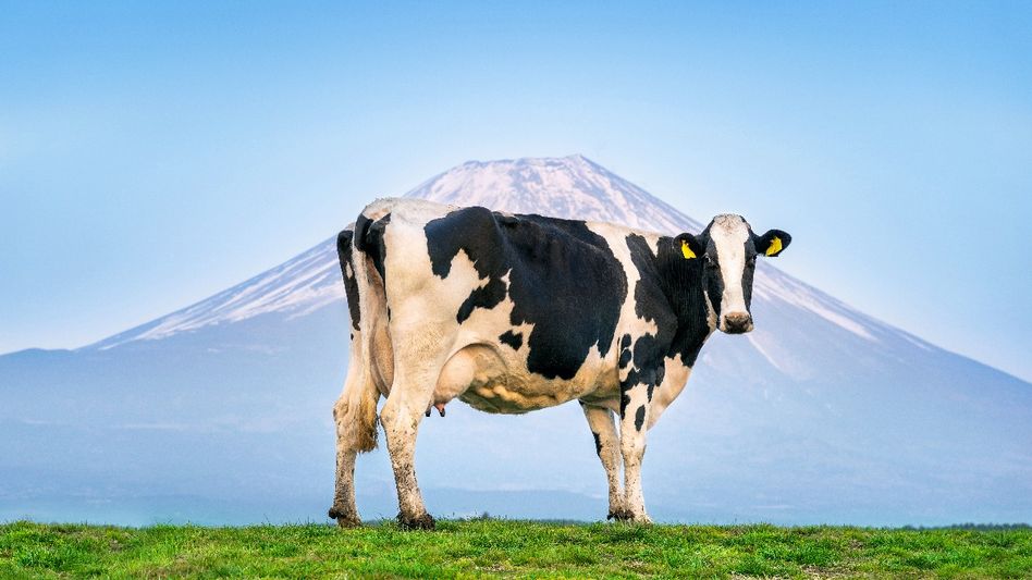 Representational Image: Freepik Representational Image: Freepik
