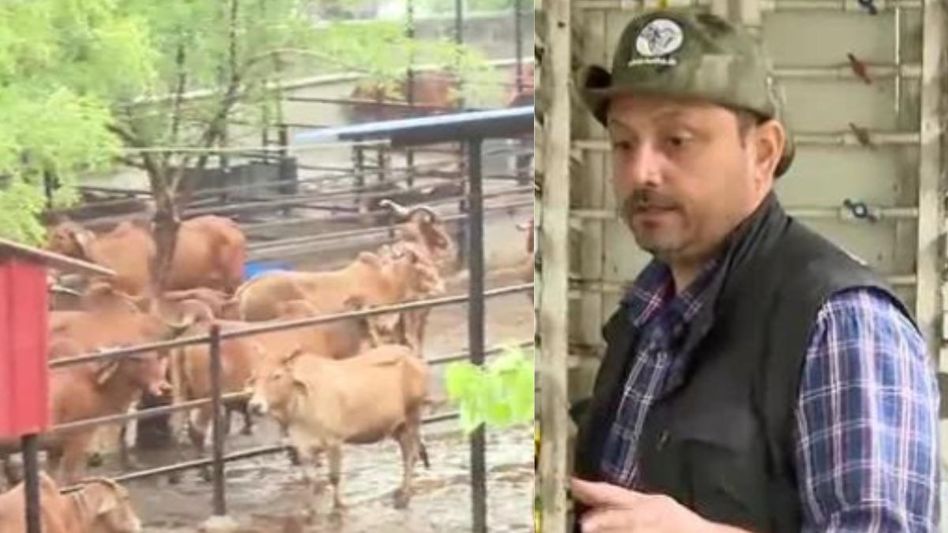 Aseem Rawat at Dairy Farm Aseem Rawat at Dairy Farm