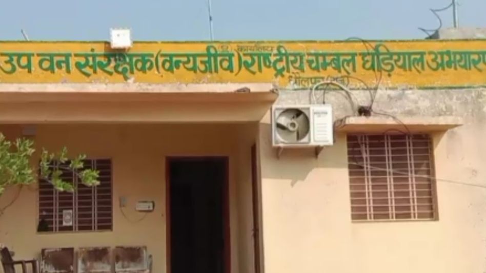 Dholpur Karauli Tiger Reserve Dholpur Karauli Tiger Reserve