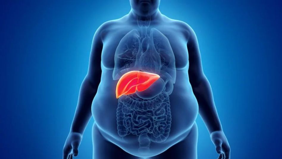 Liver (Photocredit: Getty Images) Liver (Photocredit: Getty Images)