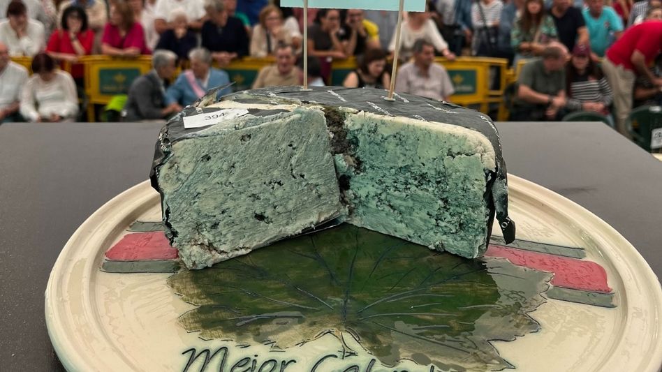 Most Expensive Cheese Most Expensive Cheese