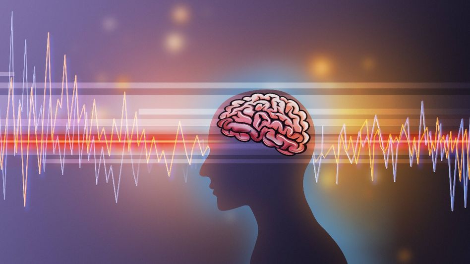 harmful foods for brain harmful foods for brain