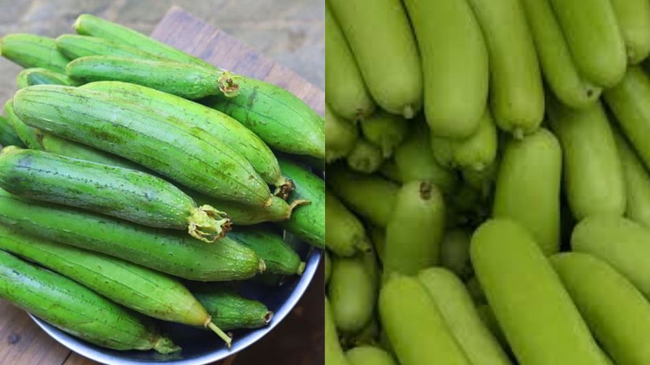 Benefits of Bottle Gourd and Ridge Gourd Benefits of Bottle Gourd and Ridge Gourd